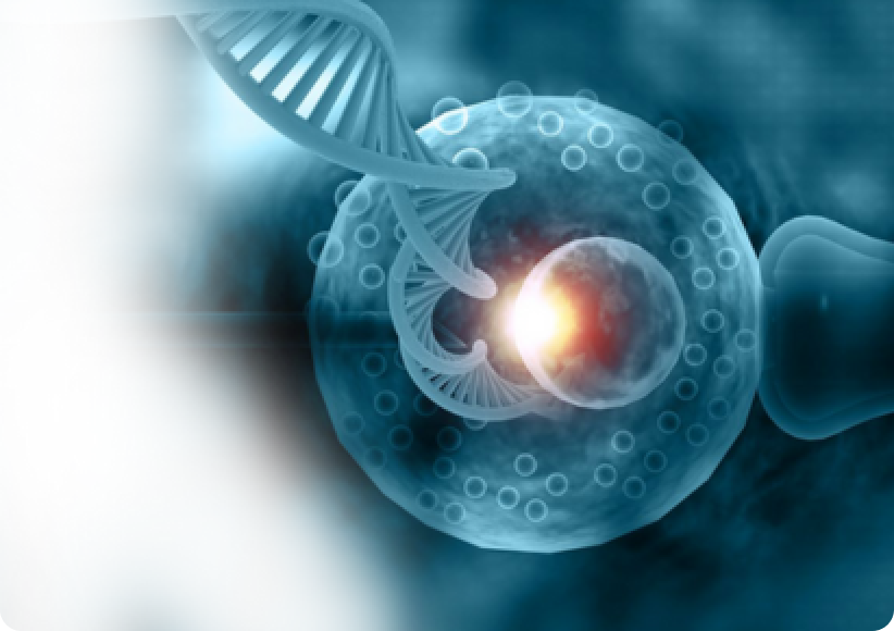 PGT (Preimplantation Genetic Testing)